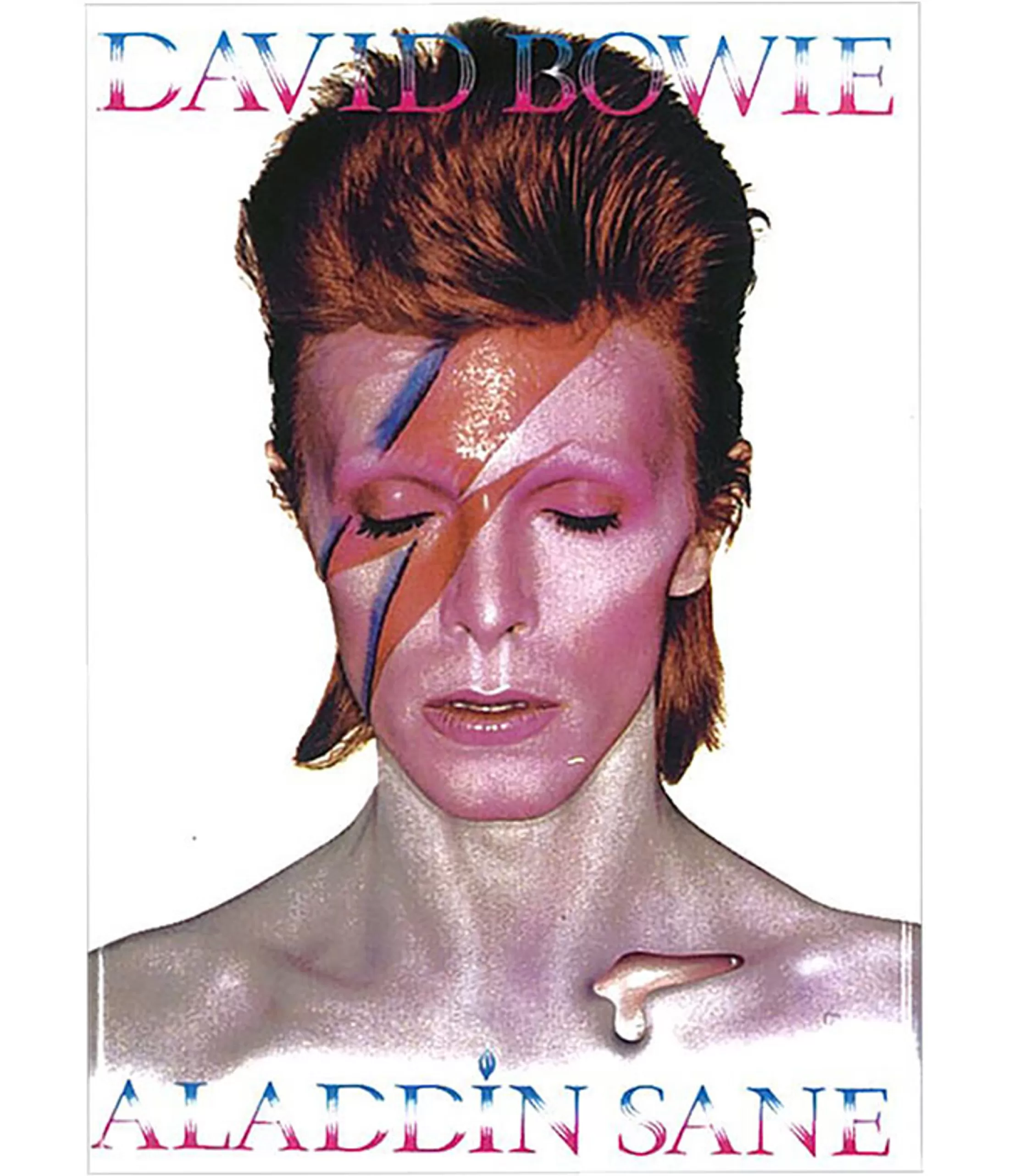 David Bowie<Liquid Blue Bowie Aladdin Sane Magnet