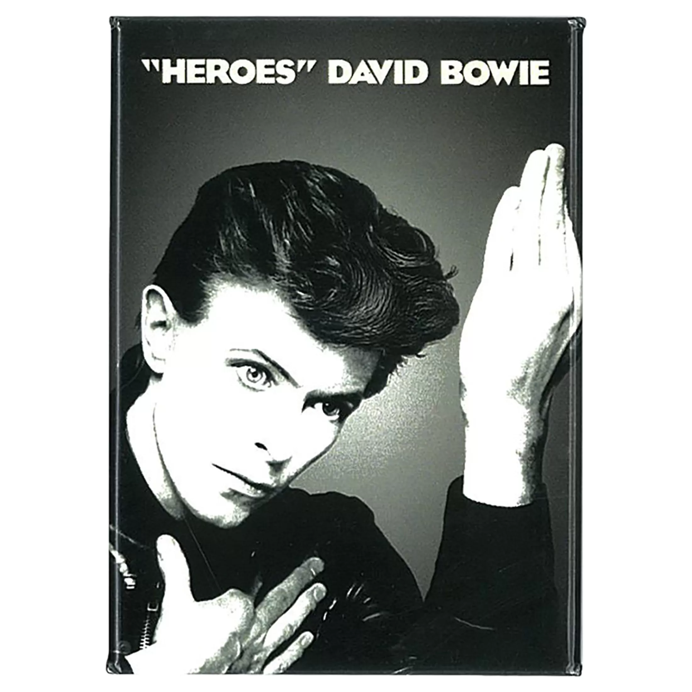 David Bowie<Liquid Blue Bowie Heroes Magnet