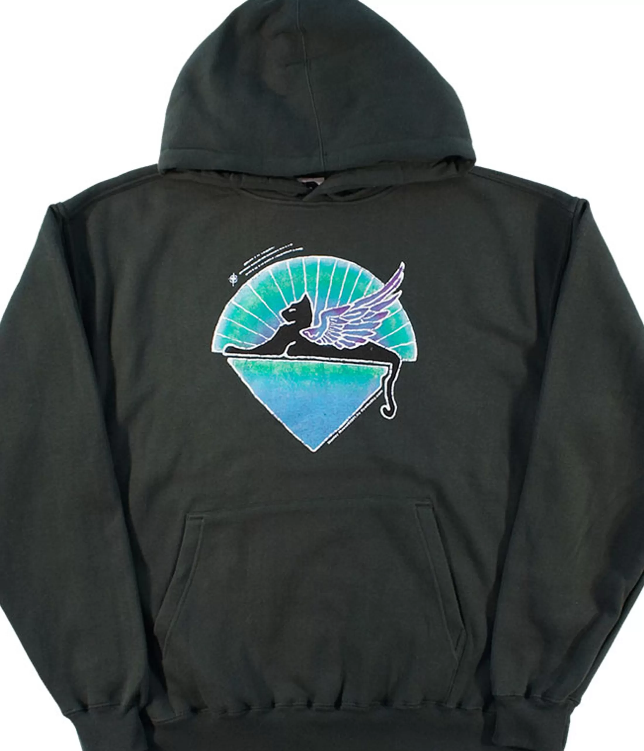 Hoodie | Grateful Dead<Liquid Blue GD Star Cat Green Hoodie