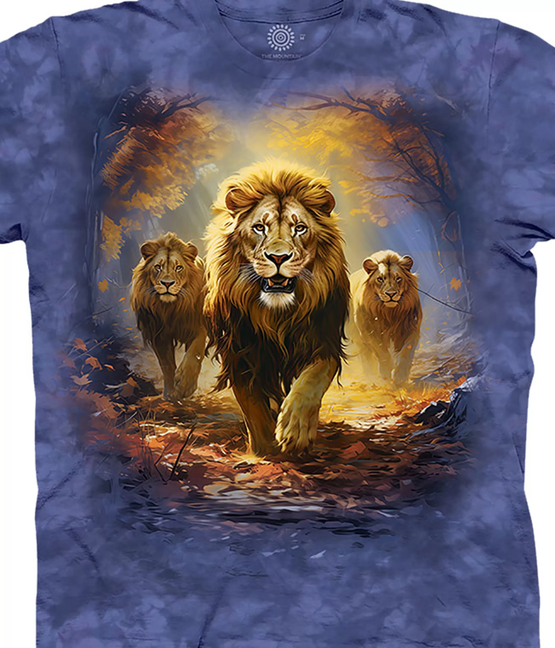 T-Shirt<Liquid Blue King's Parade Classic Cotton T-Shirt