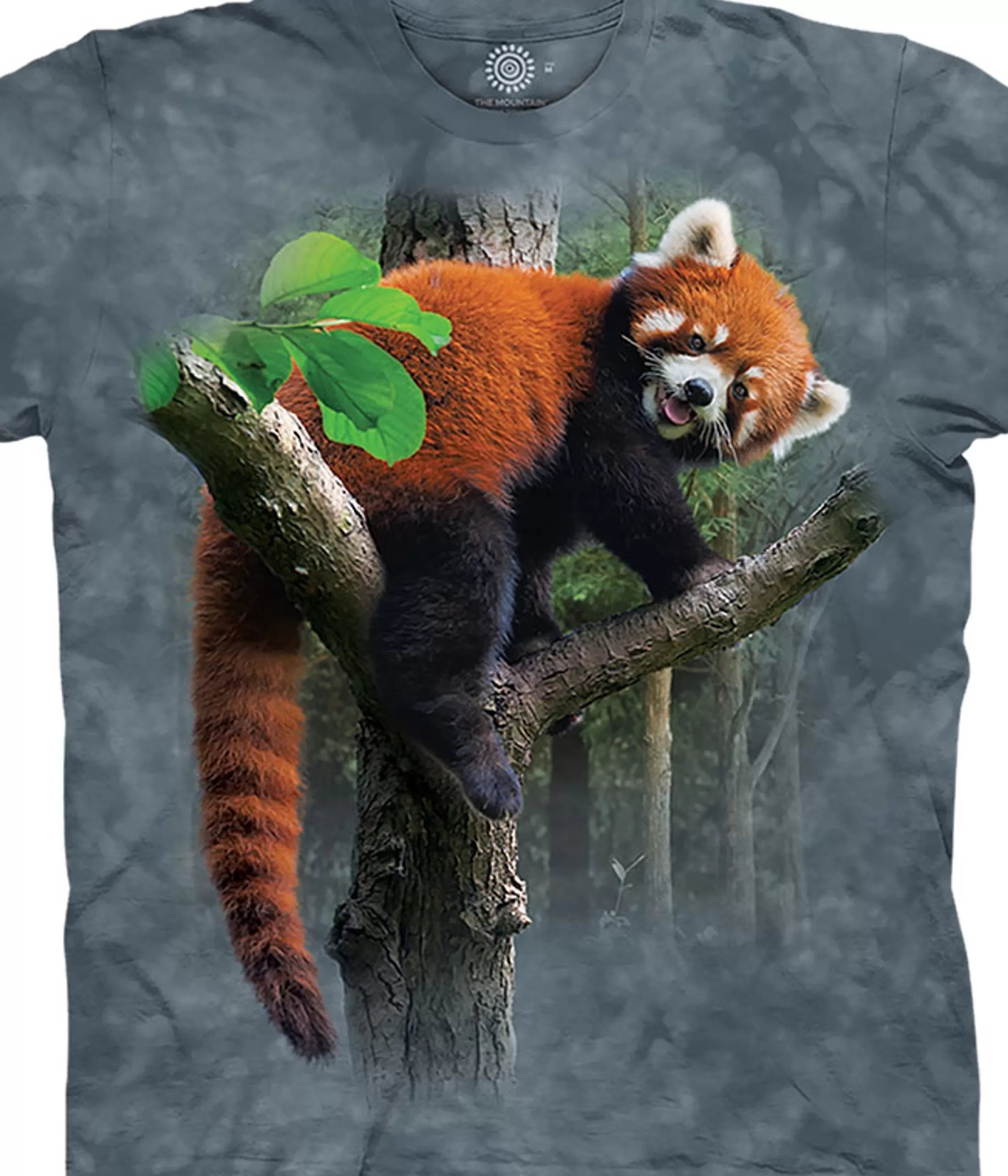 T-Shirt | Wild Animals<Liquid Blue Red Panda Tree Classic Cotton T-Shirt