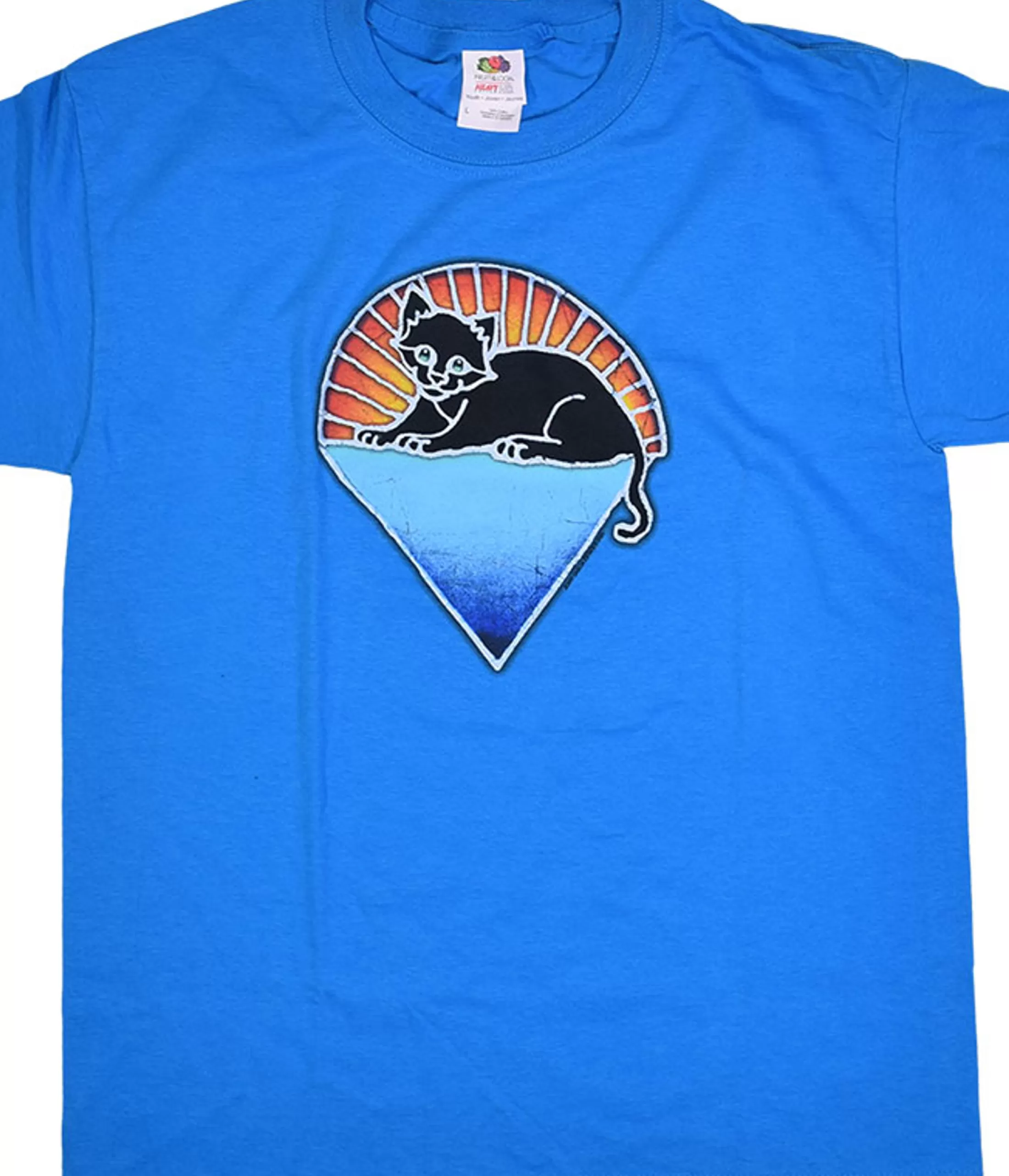 Youth | Grateful Dead<Liquid Blue Steal Your Kitty Youth Blue T-Shirt