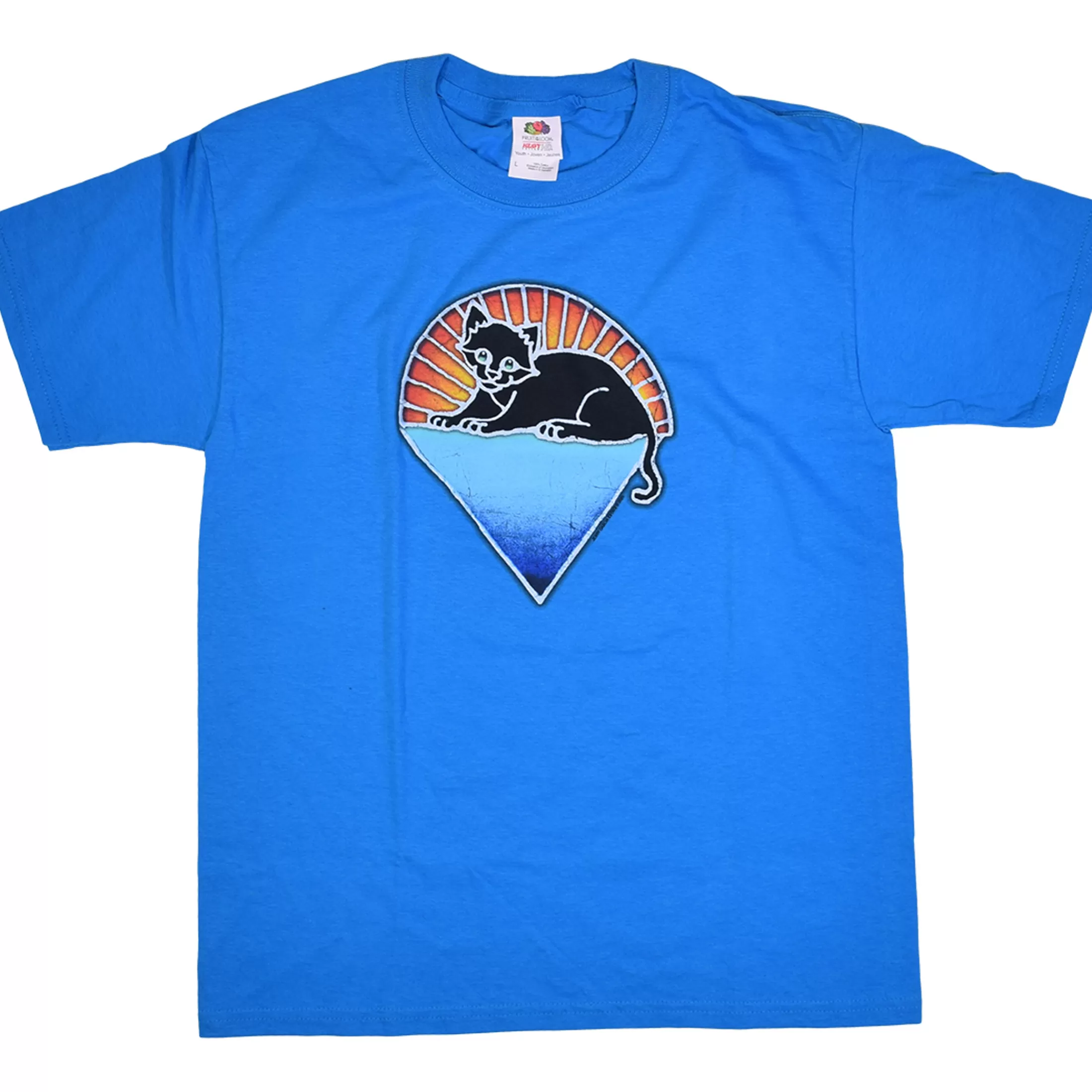 Youth | Grateful Dead<Liquid Blue Steal Your Kitty Youth Blue T-Shirt