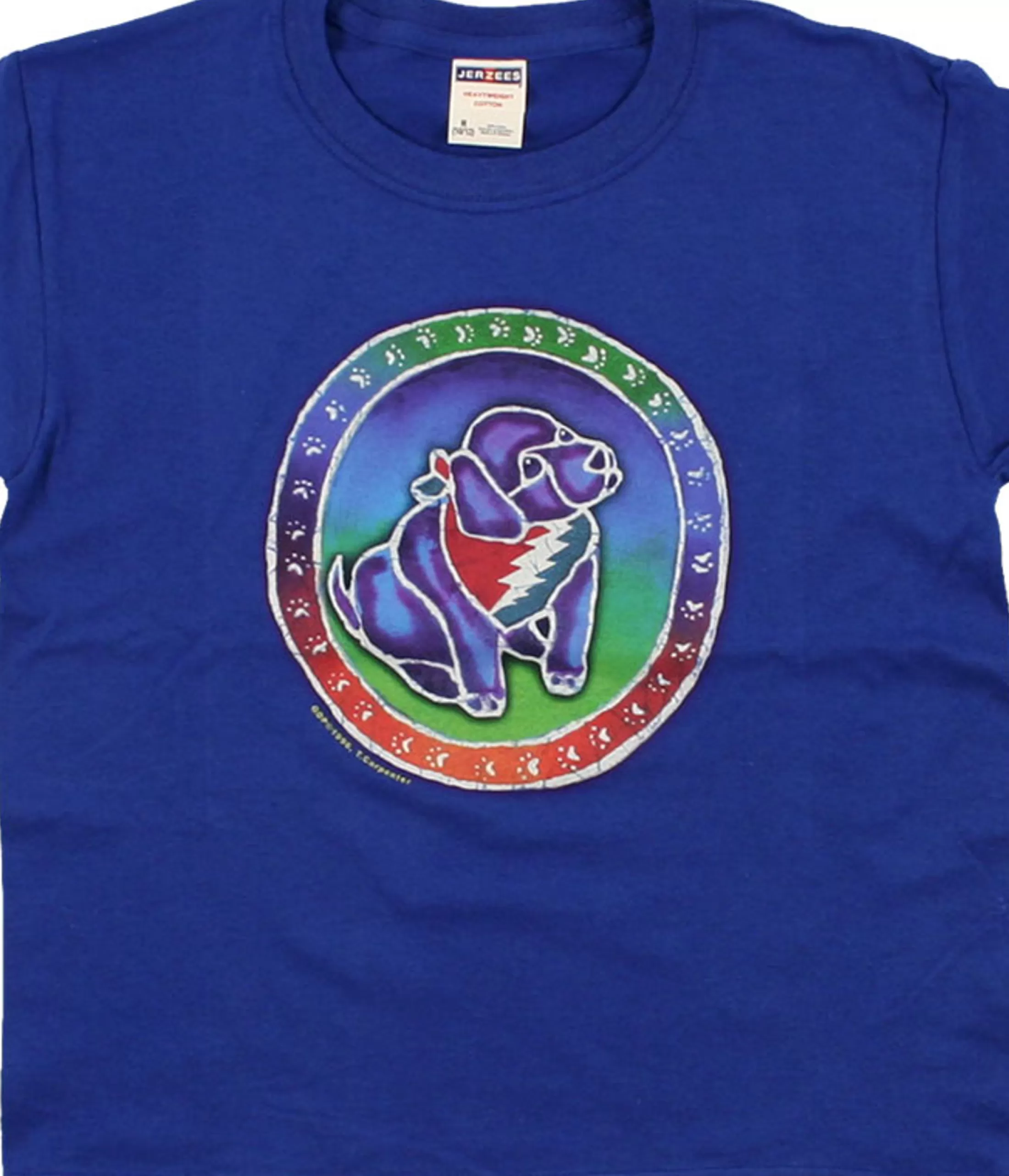 Youth | Grateful Dead<Liquid Blue Steal Your Puppy Blue T-Shirt