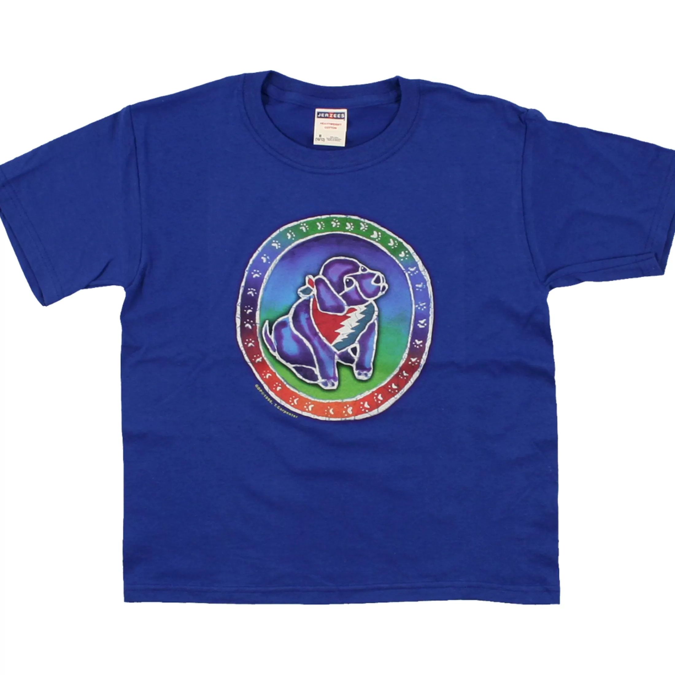 Youth | Grateful Dead<Liquid Blue Steal Your Puppy Blue T-Shirt