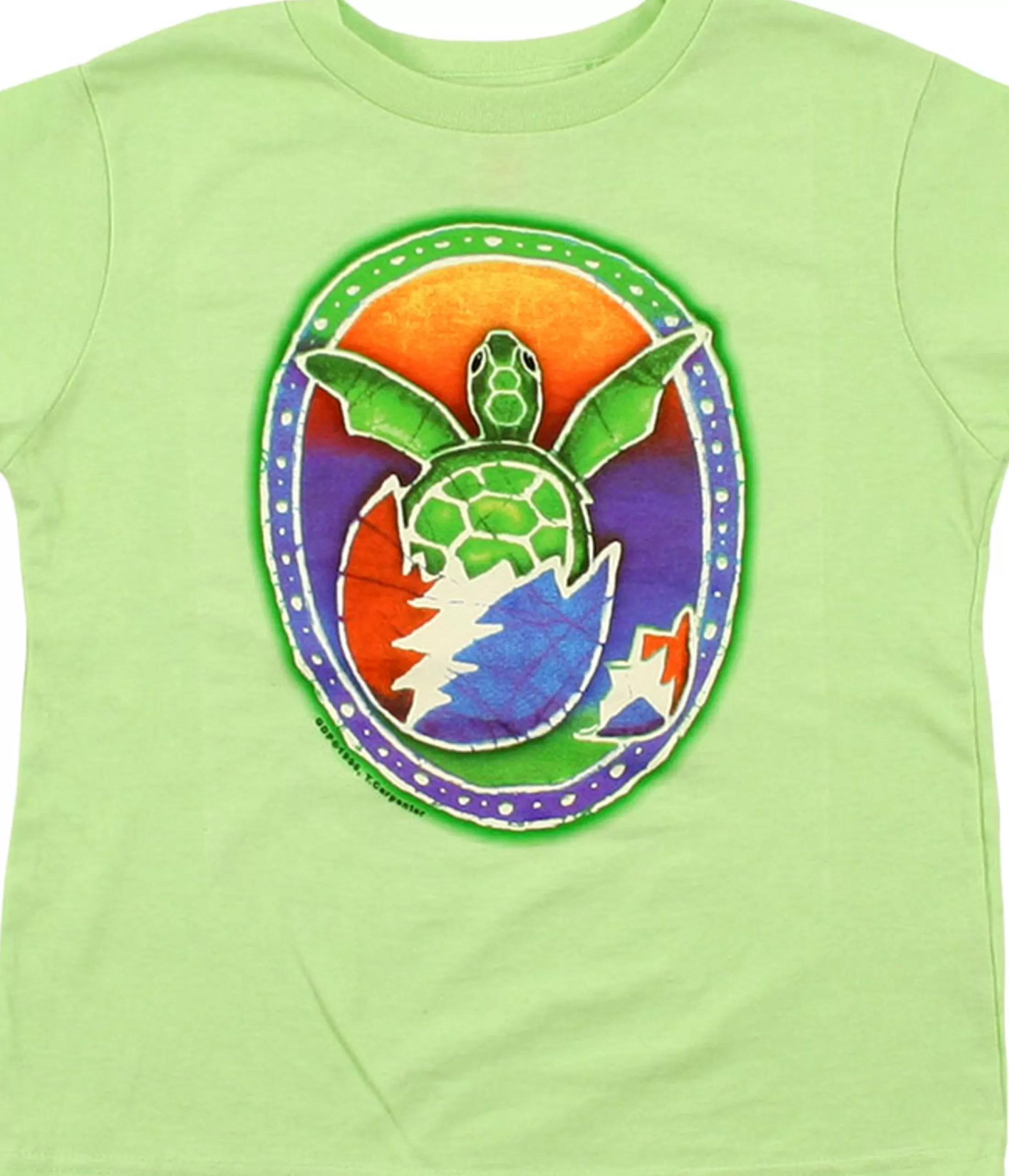 Youth | Grateful Dead<Liquid Blue Steal Your Turtle Green T-Shirt