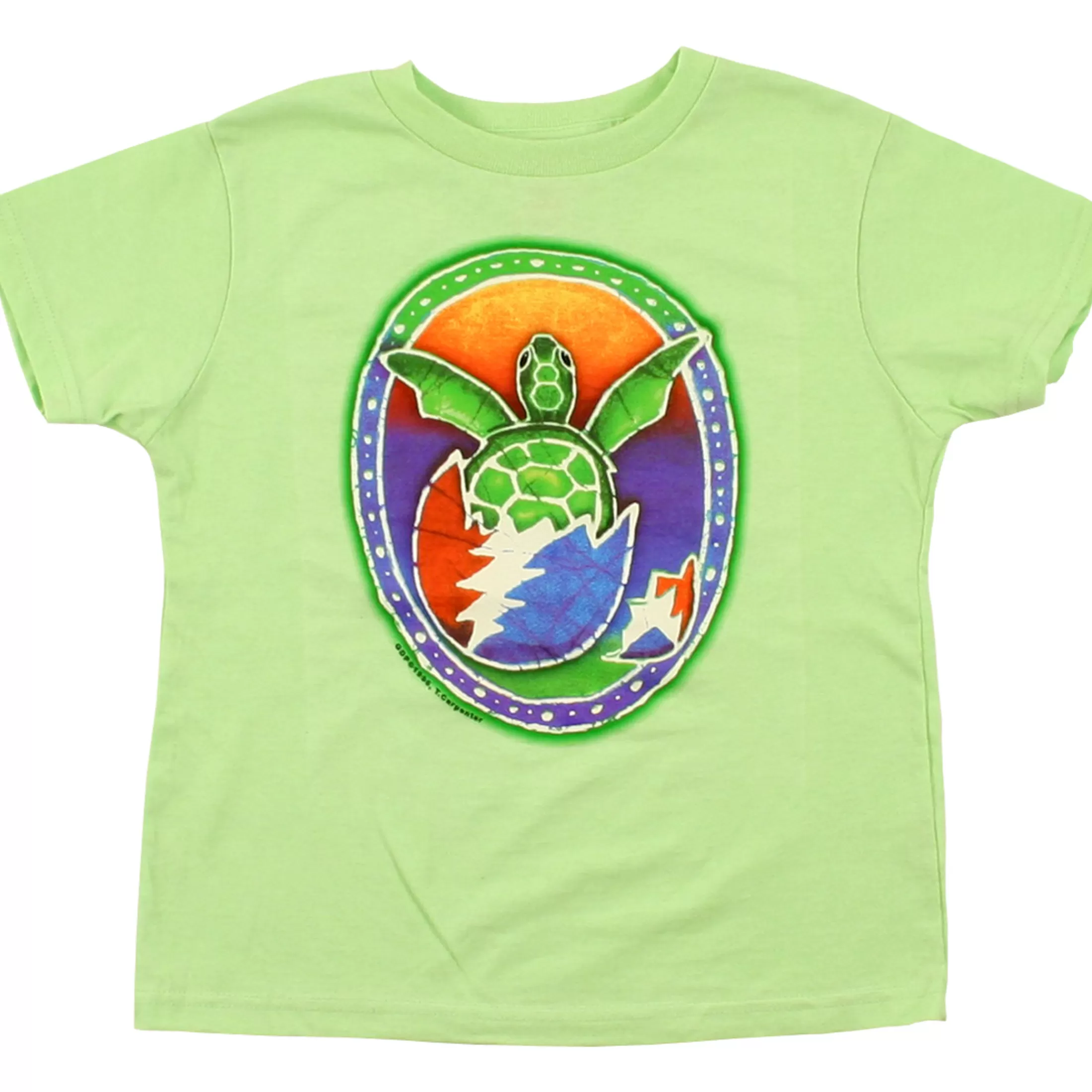 Youth | Grateful Dead<Liquid Blue Steal Your Turtle Green T-Shirt