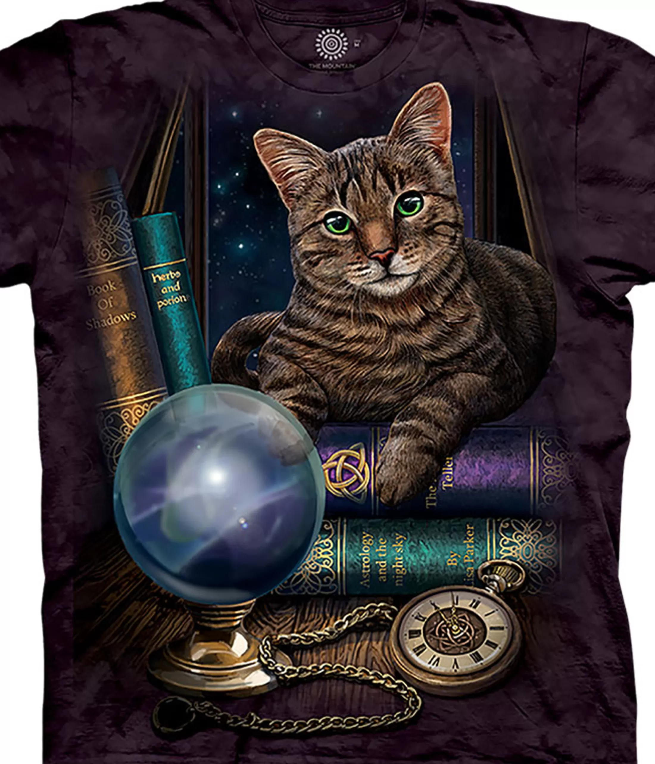 T-Shirt | Practical Magic<Liquid Blue The Fortune Teller Classic Cotton T-Shirt